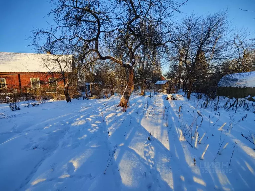 Участок в Псковская область, Псков ул. Шевченко (4.86 сот.) - Фото 2