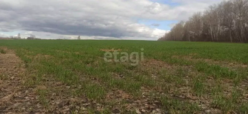 Участок в Пензенская область, Бессоновский район, Волна СНТ  (6.0 ... - Фото 1