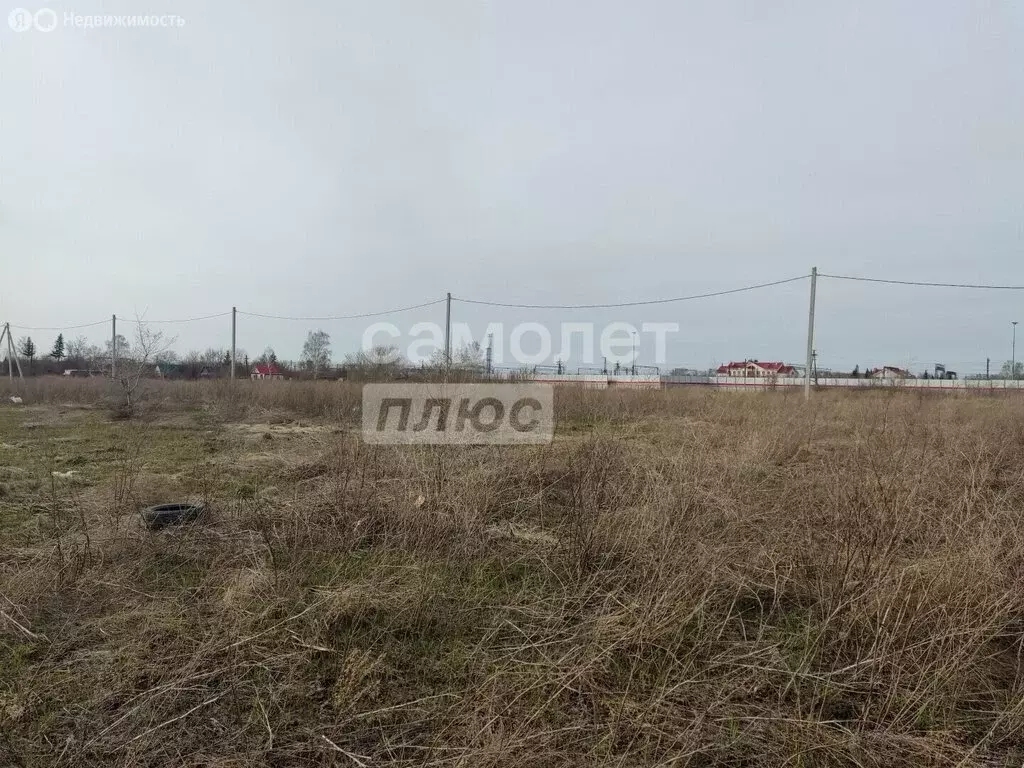 Участок в муниципальный округ Омский район, деревня Зелёное Поле, ... - Фото 2