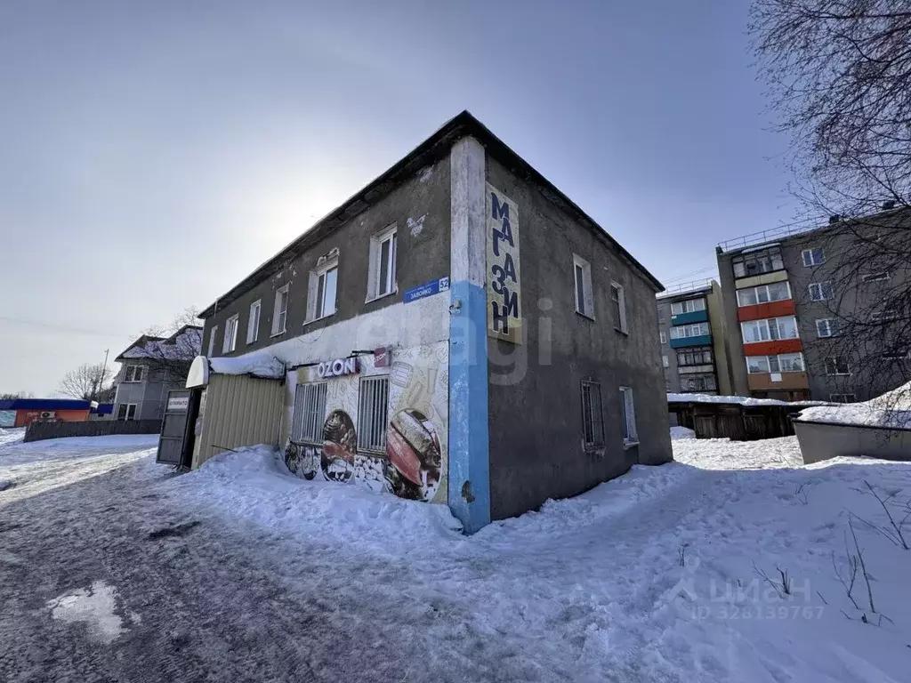 Помещение свободного назначения в Камчатский край, Елизово ул. ... - Фото 2