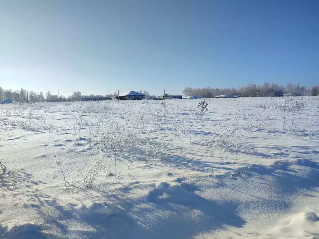 Участок в Московская область, Зарайск Зарайск муниципальный округ, ул. ... - Фото 1