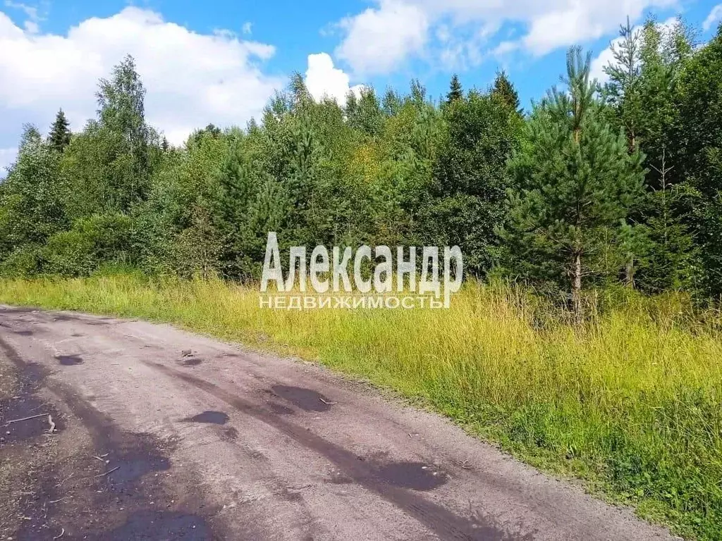Участок в Карелия, Лахденпохский муниципальный округ, пос. Сикопохья  ... - Фото 1