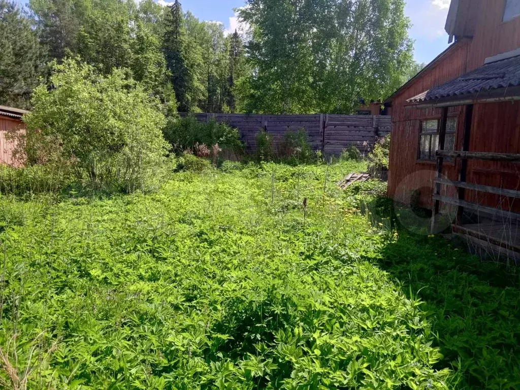 Дача 55 м на участке 6 сот. - Фото 0