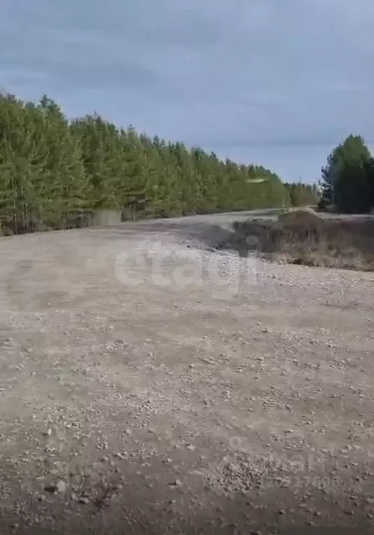 Дом в Свердловская область, Тугулымский муниципальный округ, с. ... - Фото 1