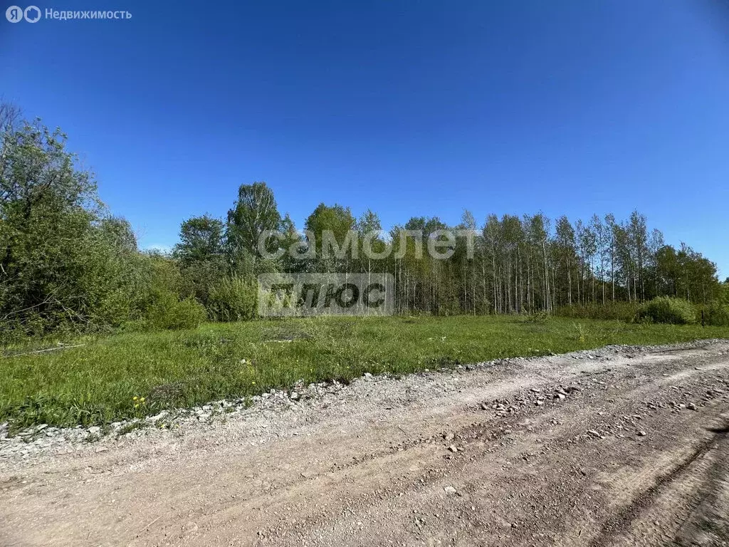 Участок в Пермский край, Краснокамский муниципальный округ, ДНТ ... - Фото 0