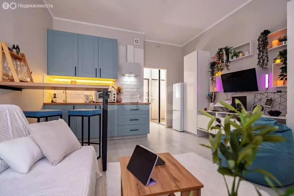 Квартира-студия: Санкт-Петербург, Арцеуловская аллея, 21 (24.8 м) - Фото 1