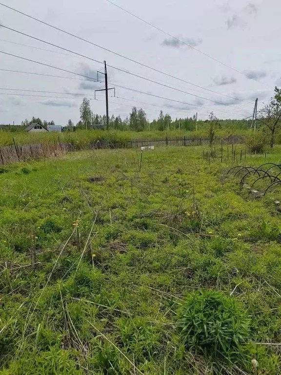 Участок в Брянская область, Брянский район, Нетьинское с/пос, д. ... - Фото 1