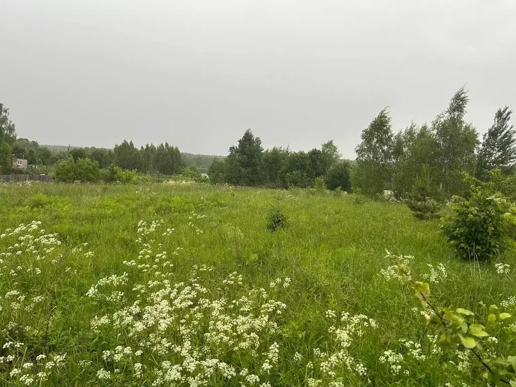 Участок в Московская область, Щелково городской округ, с. Рязанцы 25 ... - Фото 1
