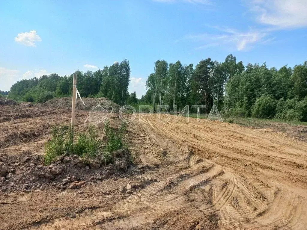 Участок в Тюменская область, Нижнетавдинский район, д. Штакульская ... - Фото 1