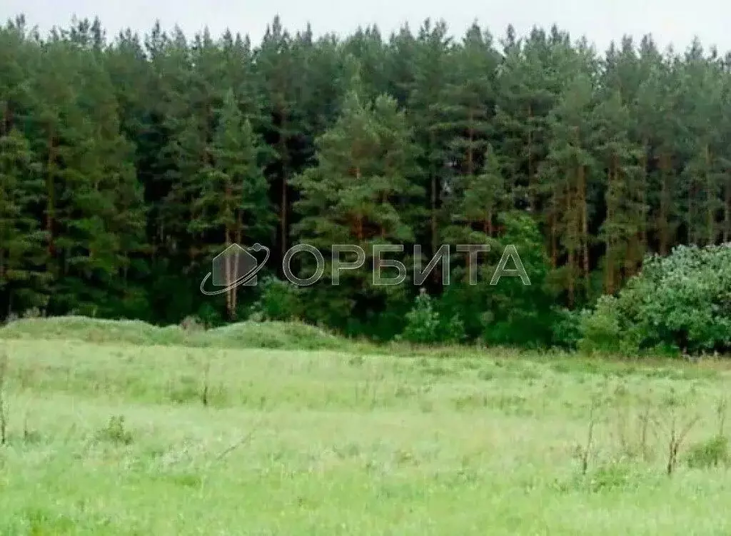 Участок в Тюменская область, Тюменский район, Победа кп  (7.0 сот.) - Фото 1