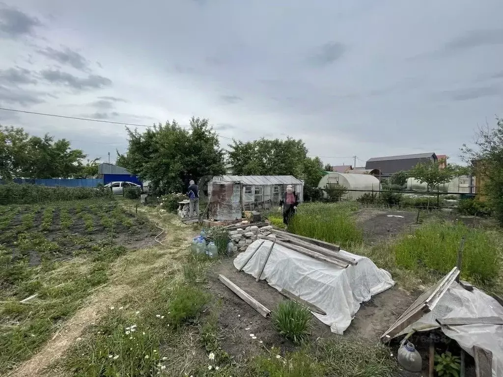 Участок в Курганская область, Курган ЖБИ 2 СТ, ул. Южная (5.7 сот.) - Фото 1