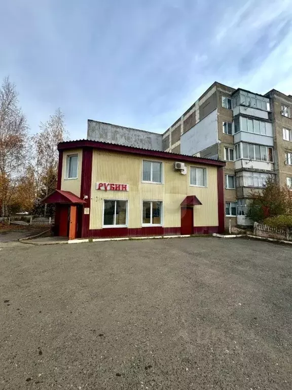 Помещение свободного назначения в Мордовия, с. Лямбирь ул. ... - Фото 1