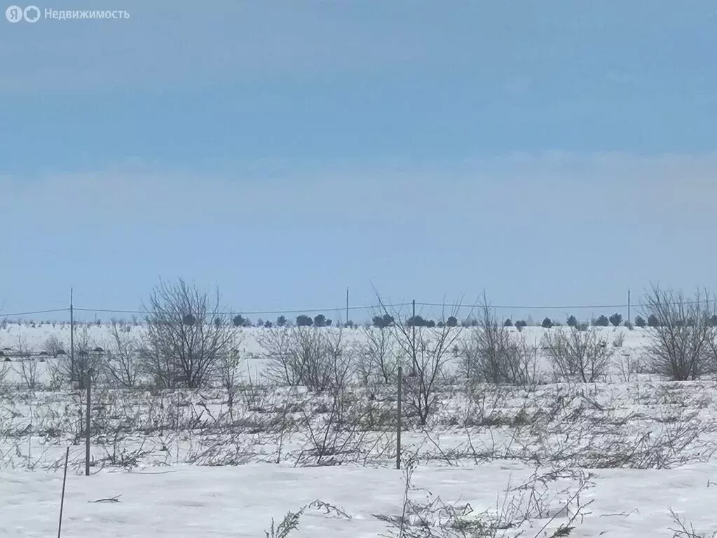 Участок в село Бессоновка, коттеджный посёлок Виктория (20 м) - Фото 2