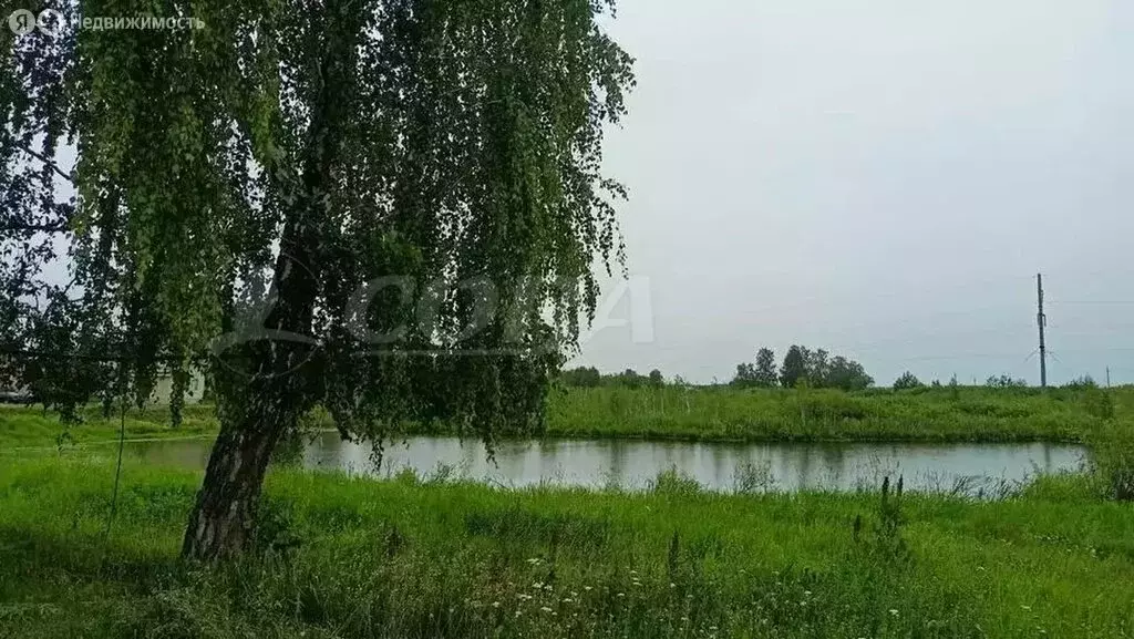 Участок в Тюменская область, Исетский муниципальный округ, село ... - Фото 2