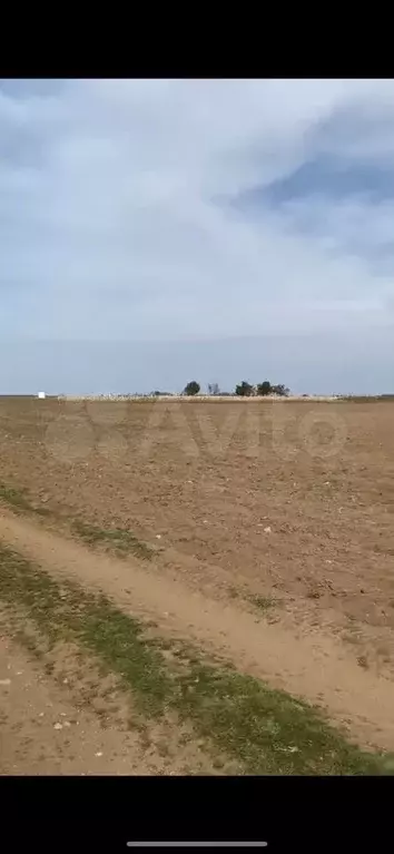Участок 6 сот. (СНТ, ДНП) - Фото 0