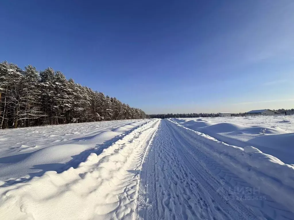 Участок в Московская область, Серпухов городской округ, пос. ... - Фото 2