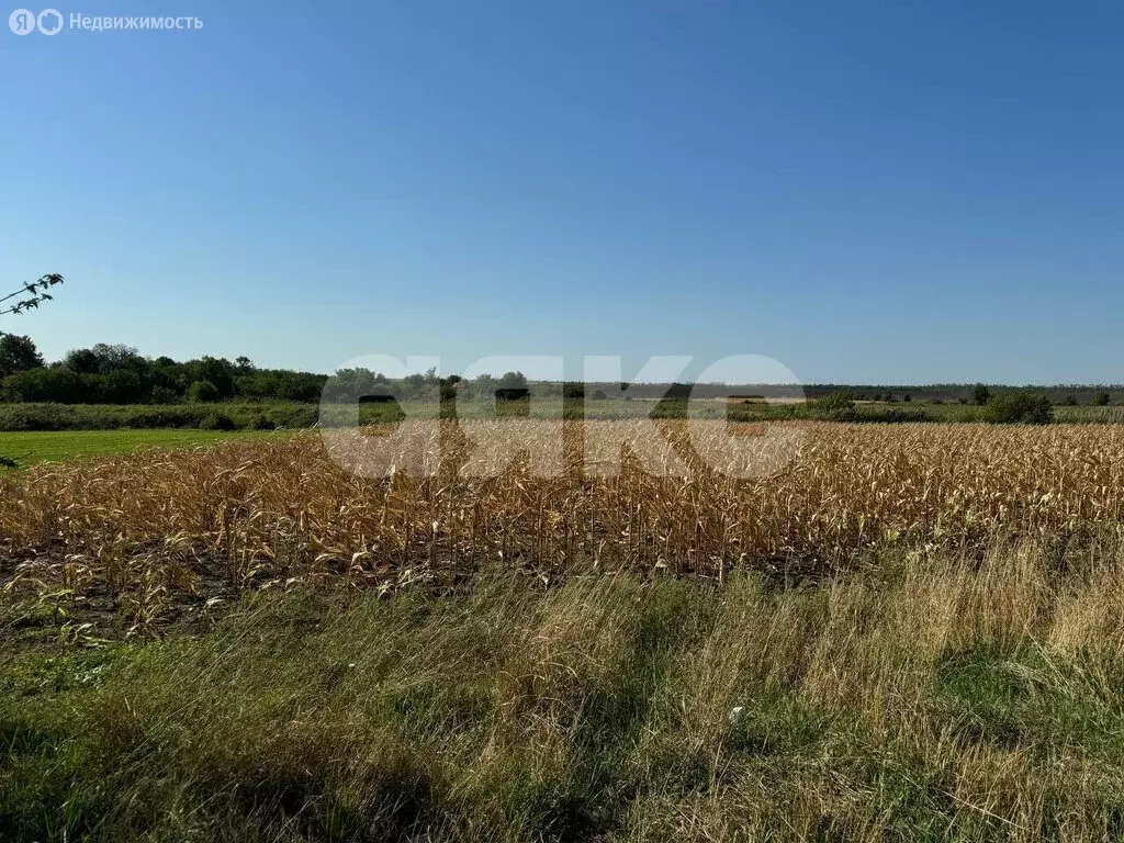 Участок в станица Журавская, Братская улица, 1 (20.69 м) - Фото 1