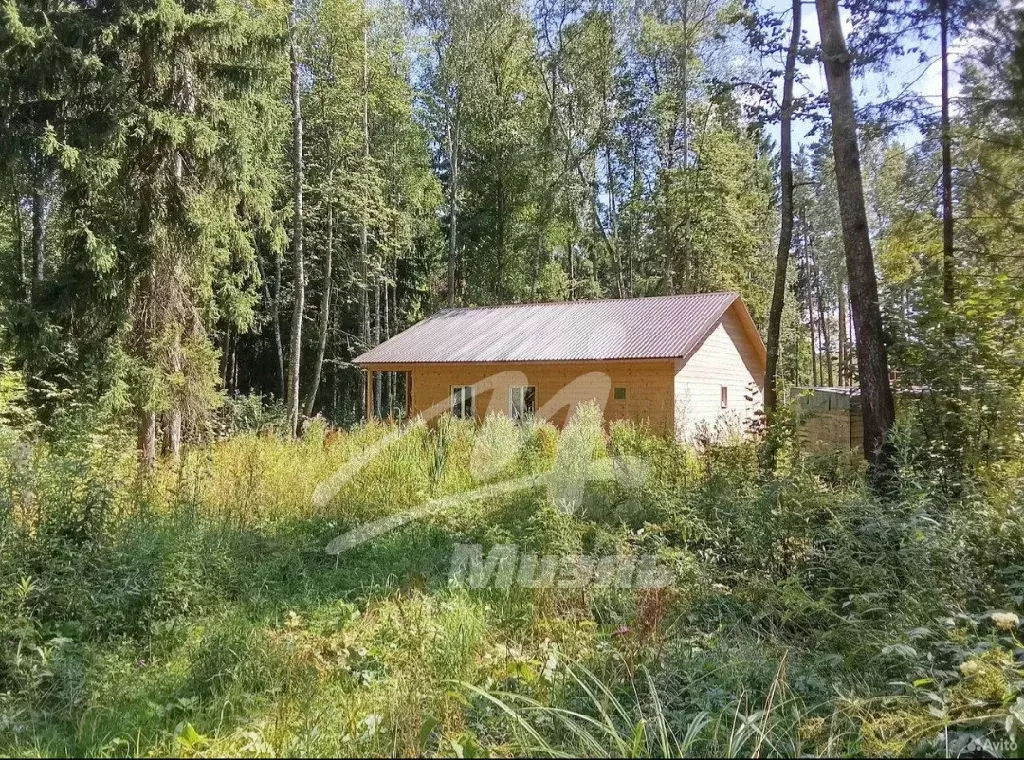 Продается участок в д. Прохорово - Фото 1