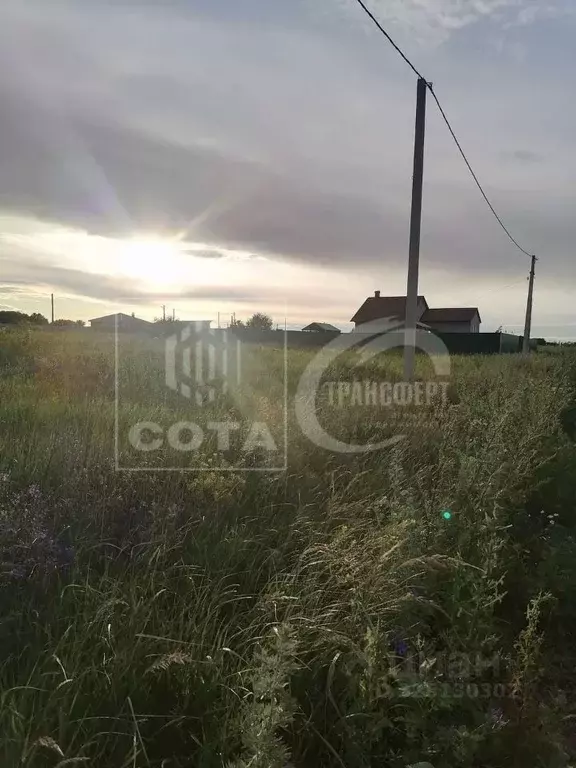 Участок в Воронежская область, Новоусманский район, с. Рогачевка ул. ... - Фото 2