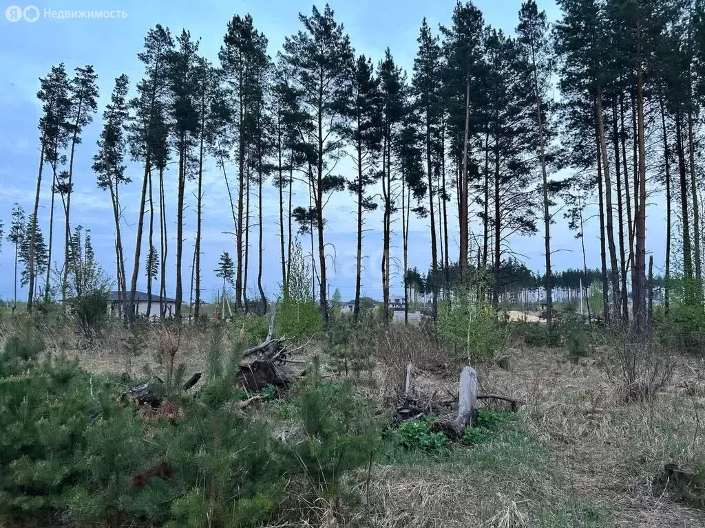 Участок в деревня Медовка, улица Генерала Белобородова (14 м) - Фото 1