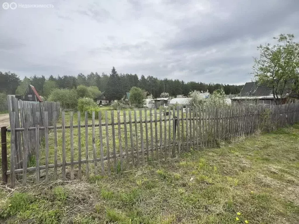 Участок в Тюменский район, ДНТ Звёздочка, Садовая улица (4.92 м) - Фото 1