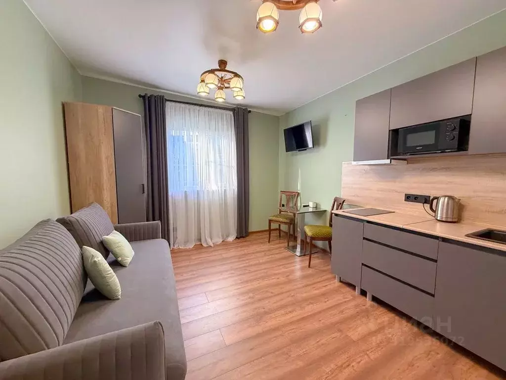 Студия Краснодарский край, Сочи Адлер жилрайон, пер. Демократический, ... - Фото 1