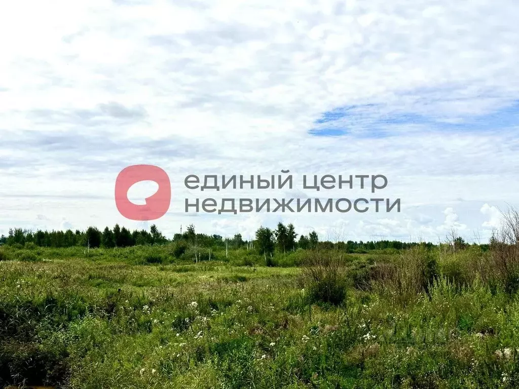 Участок в Тюменская область, Тюменский район, Майское СНТ ул. Розовая ... - Фото 0