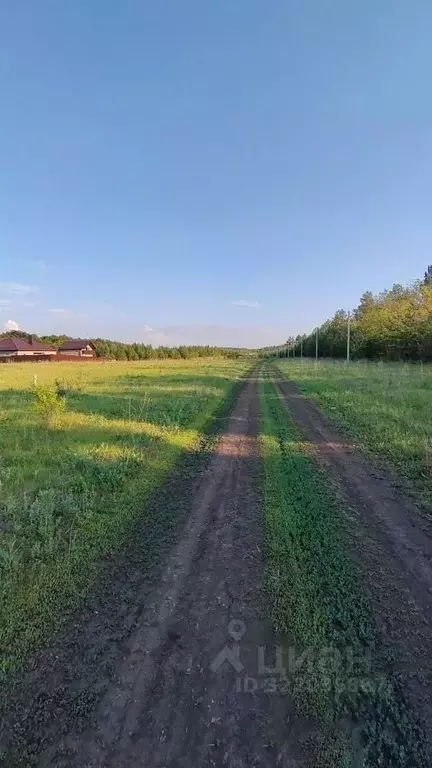 Участок в Московская область, Пушкинский городской округ, ... - Фото 1