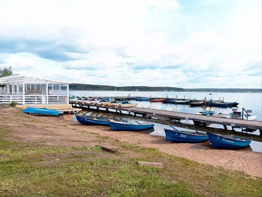 1-к кв. Московская область, Солнечногорск Красная ул., 121Б (43.0 м) - Фото 1