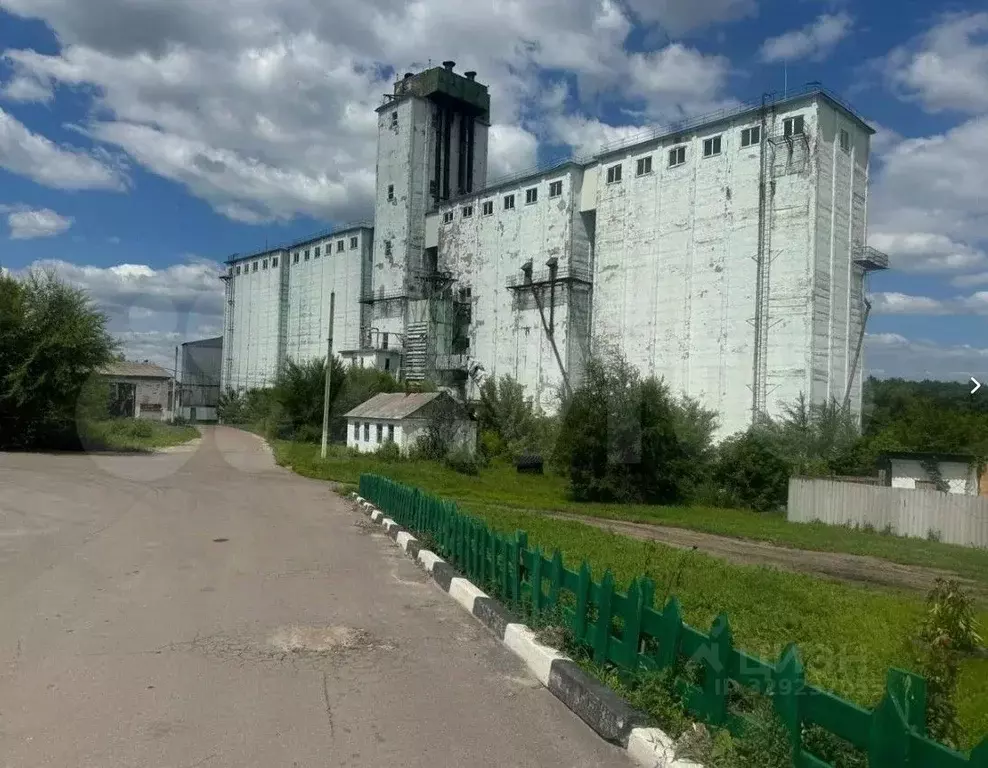Помещение свободного назначения в Воронежская область, Острогожский ... - Фото 1