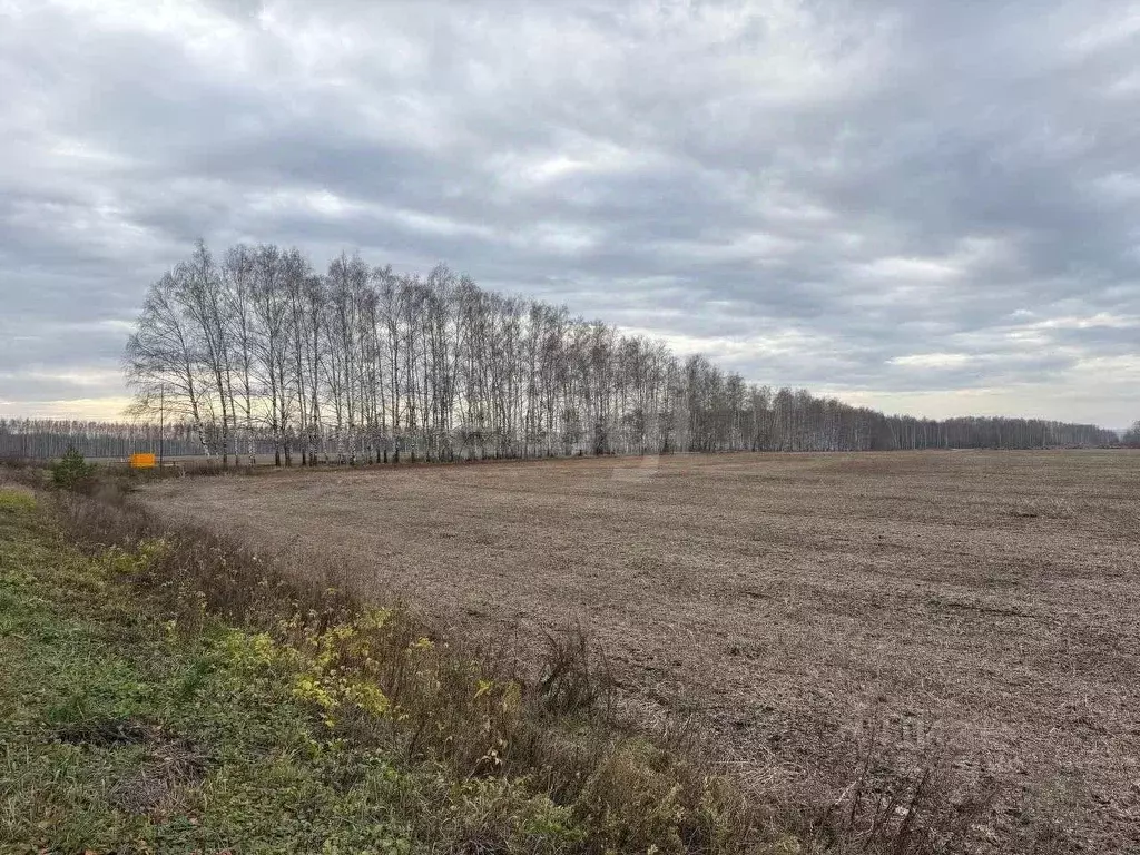 Участок в Тамбовская область, Знаменский муниципальный округ, ... - Фото 1