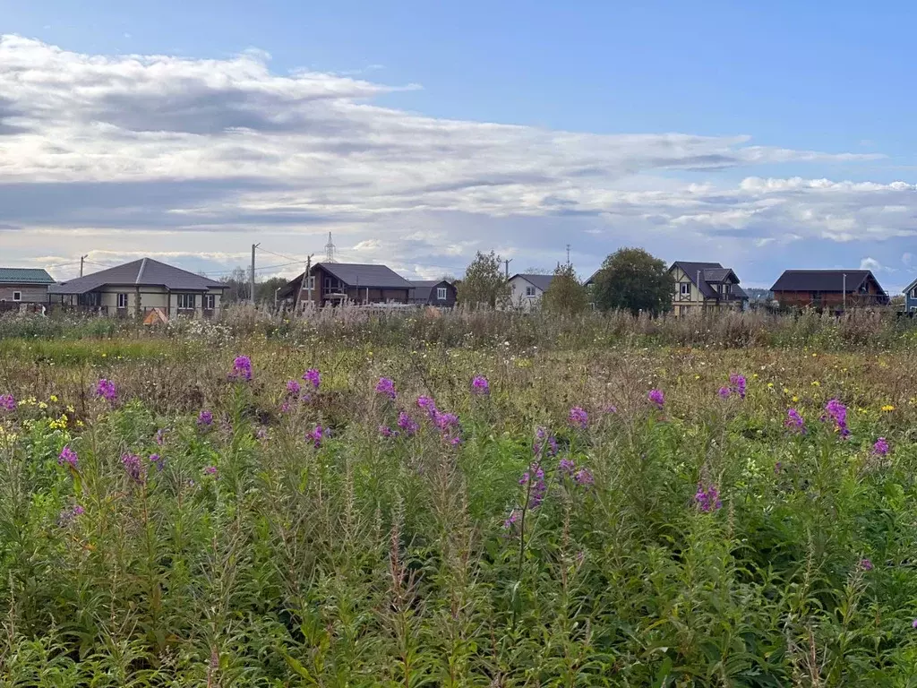 Участок в Московская область, Домодедово городской округ, с. Лобаново  ... - Фото 0
