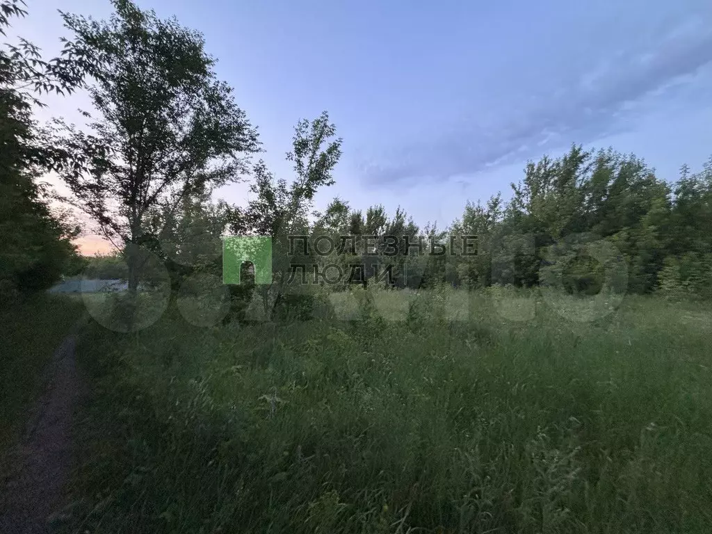 Участок 10 сот. (ИЖС) - Фото 1