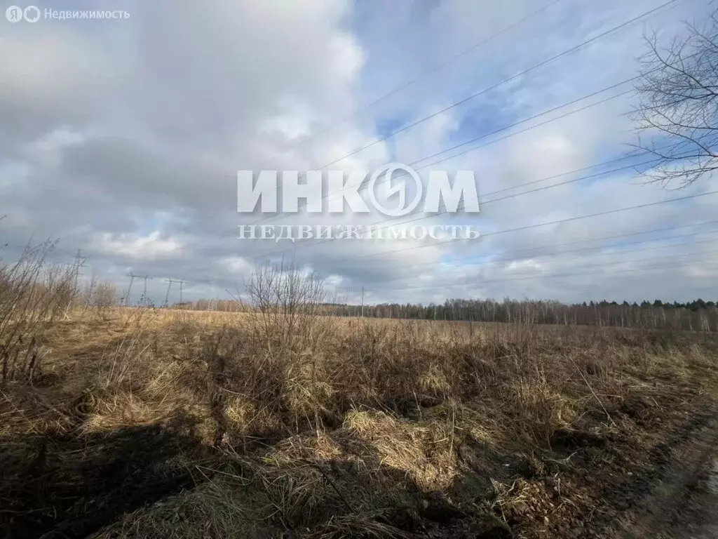 Участок в деревня Лобаново (250 м) - Фото 0