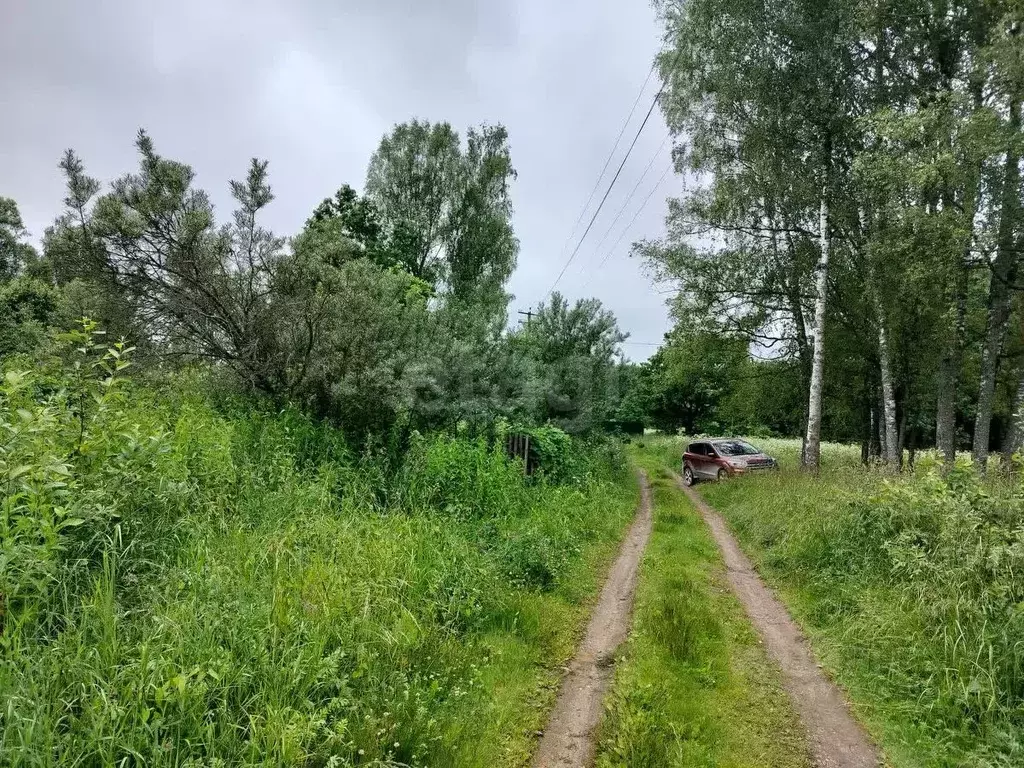 Участок в Смоленская область, Демидовский муниципальный округ, д. Диво ... - Фото 1