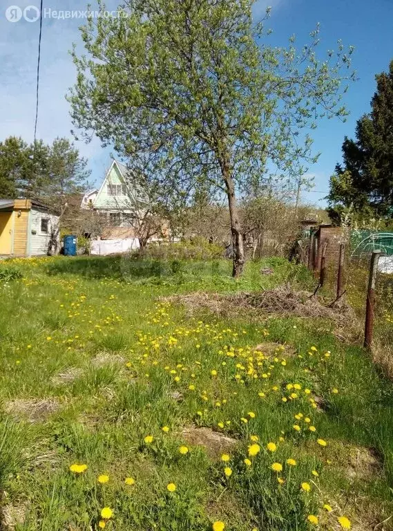 Участок в Калужская область, Боровский муниципальный округ, садовое ... - Фото 2