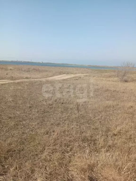 Участок в Крым, Черноморский район, с. Межводное ул. К. Гришаева (25.0 ... - Фото 0