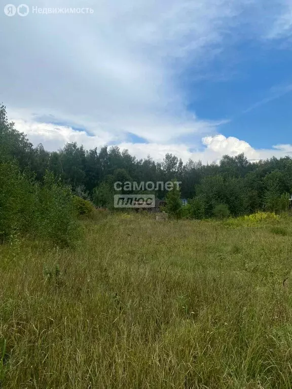 Участок в Юрьевецкий район, Соболевское сельское поселение, село ... - Фото 1