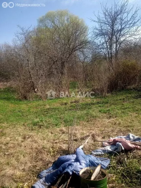 Участок в Владимирская область, Суздальский муниципальный округ, село ... - Фото 2