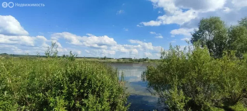 Участок в Искитимский район, Шибковский сельсовет, деревня Таскаево ... - Фото 0