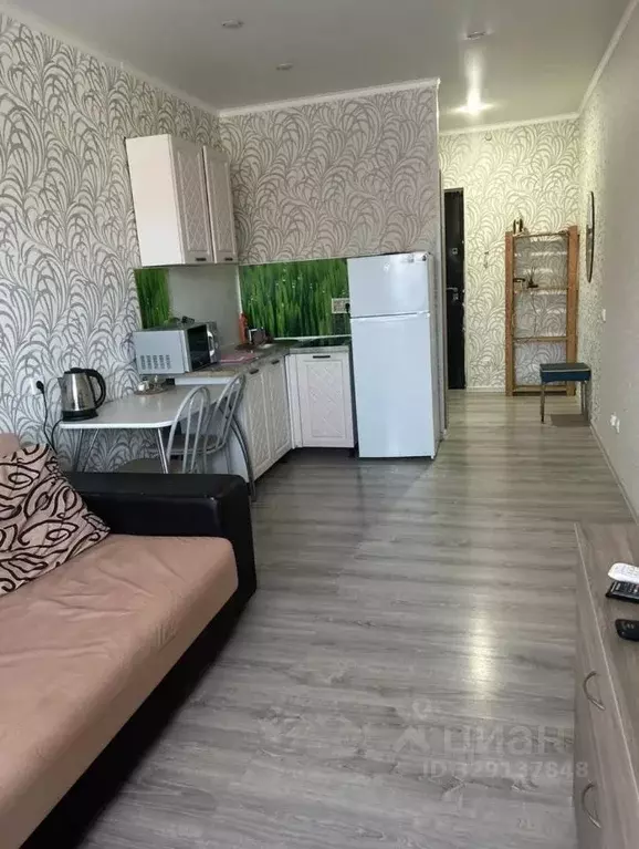 Студия Краснодарский край, Краснодар ул. Евгении Жигуленко, 9 (24.0 м) - Фото 1