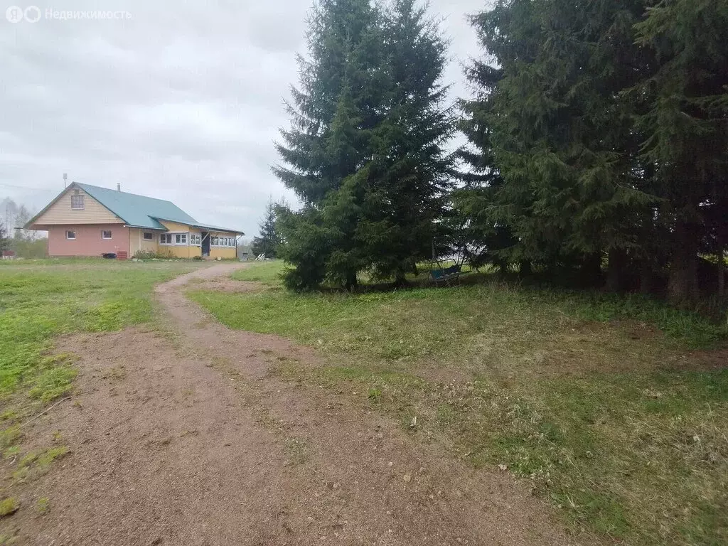 Дом в Новгородская область, Любытинское сельское поселение, деревня ... - Фото 1