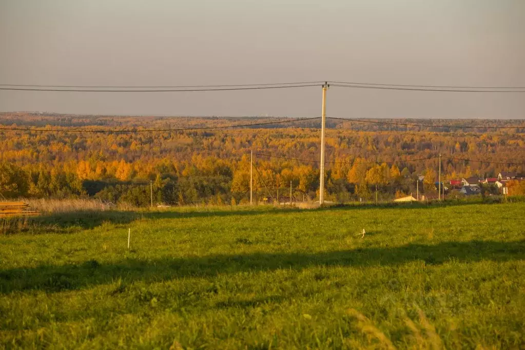 Участок в Ленинградская область, Ломоносовский район, Ропшинское ... - Фото 0