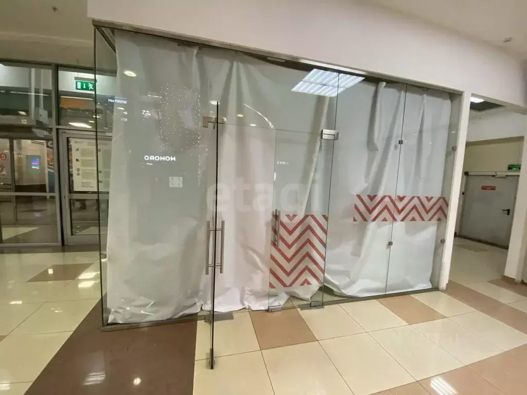 Помещение свободного назначения в Татарстан, Казань Петербургская ул., ... - Фото 1