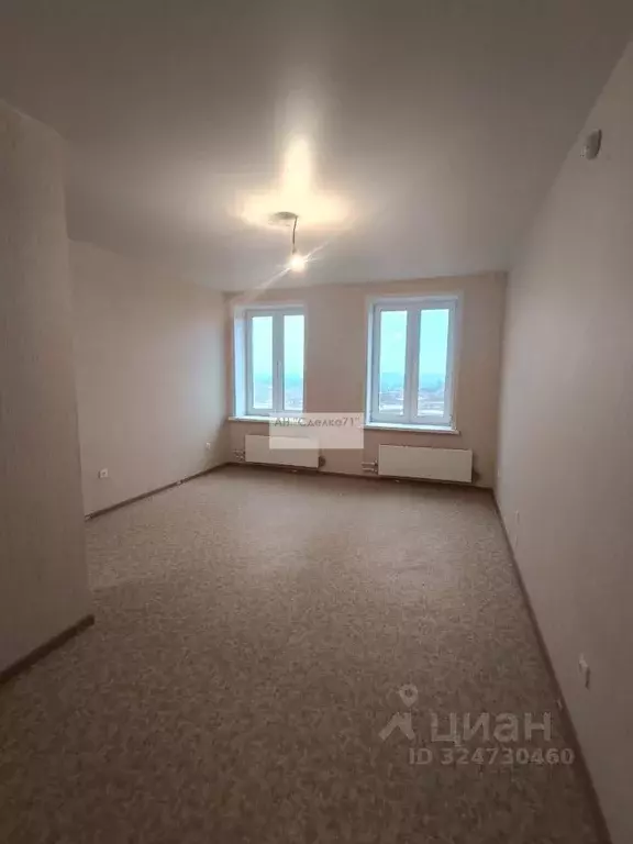 1-к кв. Тульская область, Богородицк Вязовский пер., 35Б (33.8 м) - Фото 2