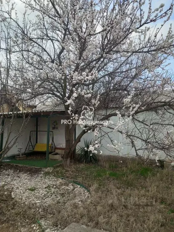 Дом в Севастополь Южный садоводческое товарищество, 21 (58 м) - Фото 0