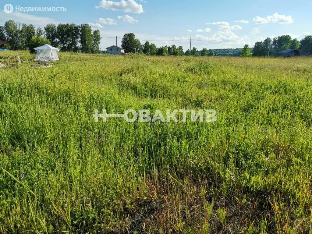 Купить Участок В Сокуре Новосибирской Области