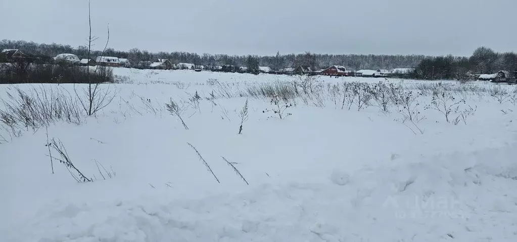 Участок в Московская область, Луховицы муниципальный округ, д. ... - Фото 1