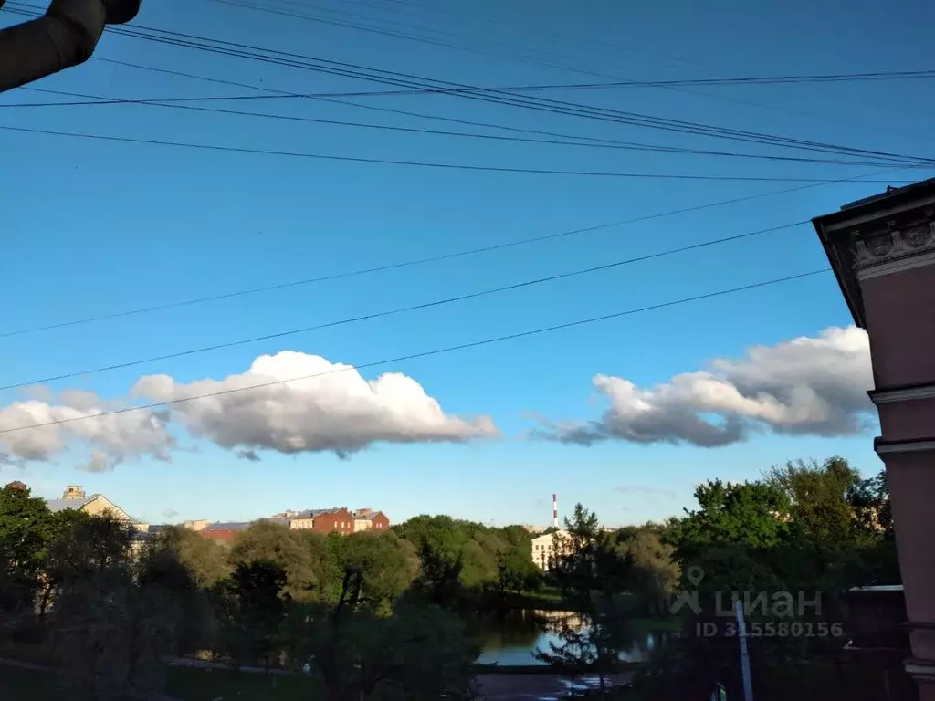 Комната Санкт-Петербург просп. Римского-Корсакова, 1 (14.8 м) - Фото 1