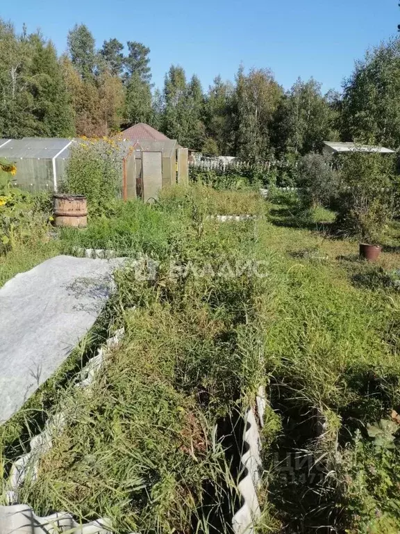 Дом в Забайкальский край, Читинский район, № 56 Дорожник СНТ  (65 м) - Фото 1